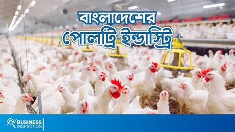 বাংলাদেশের পোলট্রি ইন্ডাস্ট্রি poultry industry in bangladesh youtube