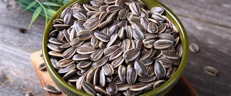 Everything That You Need To Know About Sunflower Seeds Jcs Quality