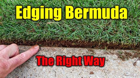 Edging Bermuda Grass Bermuda Grass Care
