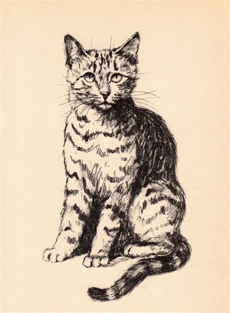 1941 Sweet Tabby Cat Print Striped Cat Wall Art Illustration Etsy