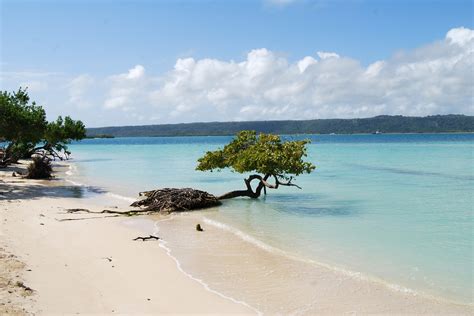 Tropical Beach Scene Free Stock Photo Public Domain Pictures