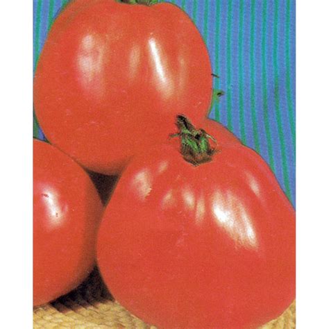 Tomato Seeds Red Pear Abruzzese