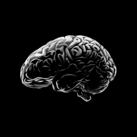 cerebro humano en una ilustración de vector de fondo negro 2492507