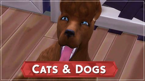 Sims 4 Cats And Dogs Bed Recolor Klohaus