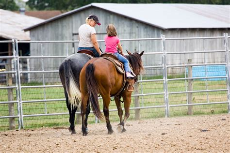Los Livingstons Horseback Riding Lessons