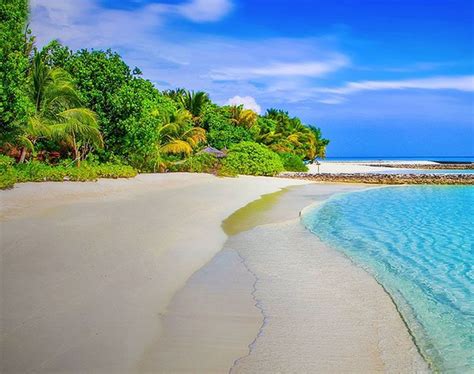 7 Fascinating Facts About Andaman And Nicobar Islands