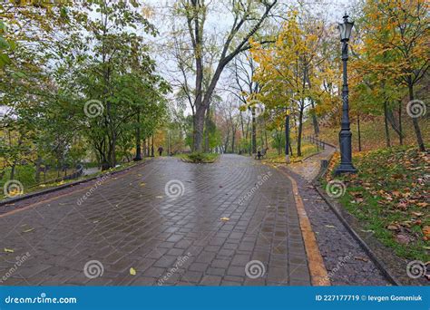 Low Angle View Of Cobblestone Narrow Alleys In The Autumn Park Fallen