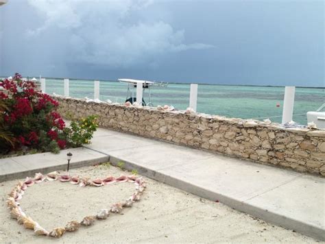 View Of Porgy Bay Picture Of Wildquest Bimini Tripadvisor