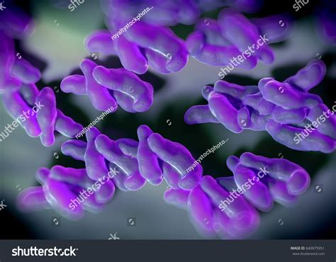 3d Rendering Campylobacter Jejuni Bacteria Stock Illustration 640975951