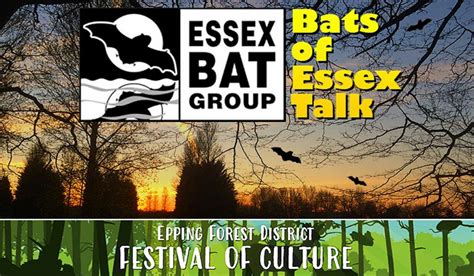 Bats Of Essex Virtual Event In Epping Forest Visit Epping Forest