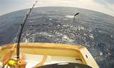 Images of Kona Deep Sea Fishing Charters