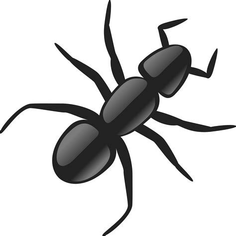 Ant Png