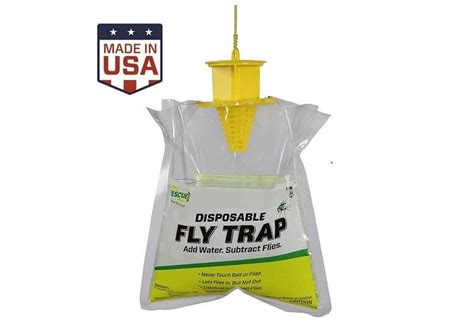 5 Best Fly Trap Reviews In 2022 Do You Need One Insect Hobbyist