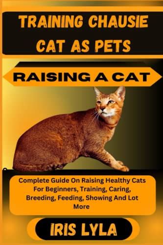 TRAINING CHAUSIE CAT AS PETS RAISING A CAT Complete Guide On Raising