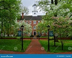 Frühlingsblumen an Ohio-Universität Redaktionelles Stockbild - Bild von ...