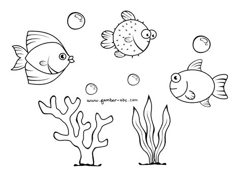 100 Gambar Ikan Cara Mewarnai Sketsa Gambar Ikan Untuk Anak Anak Tk
