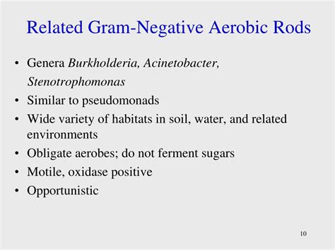 Ppt Aerobic Gram Negative Nonenteric Bacilli Powerpoint Presentation Id