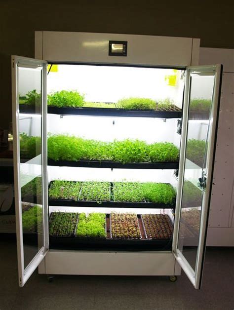 The Commercial Cultivator Hydroponic Kitchen Garden Unlike The