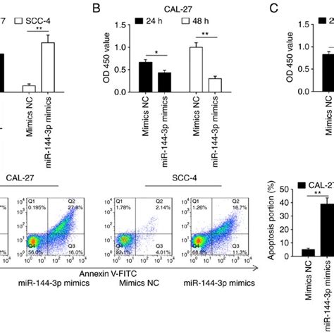 overexpression of mir 144 3p suppresses cell proliferation and promotes download scientific