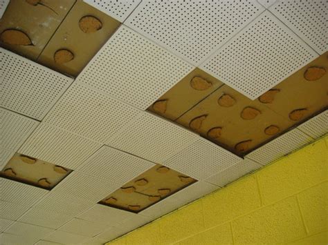 Asbestos was used in ceiling tiles to enhance the quality of the product by offering it more durability and fire resistance. Vintage Ceiling Tile & Asbestos Adhesive | Partial view of ...