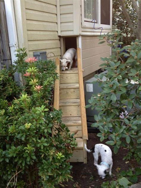34 Simple Diy Playground Ideas For Dogs Homemydesign