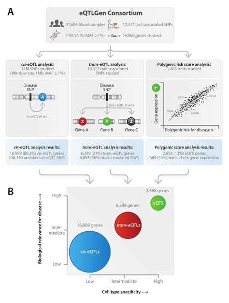 Open Access Unraveling The Polygenic Architecture Of Complex Traits