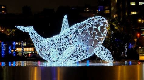 Whale Installation Made Of 6000 Bulbs Lights Up English Bay Cbc News