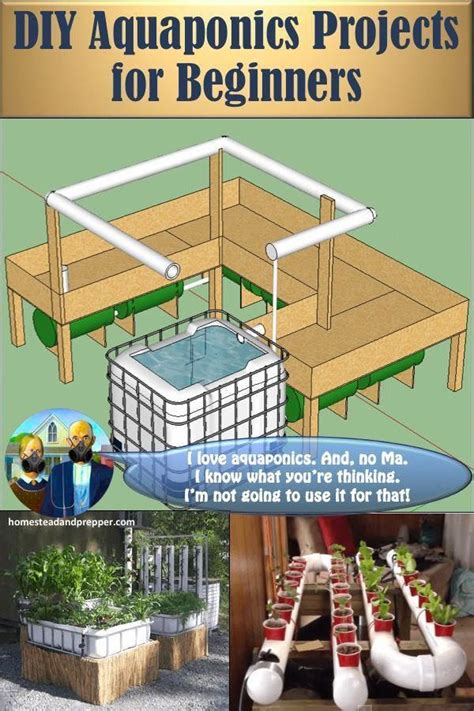 What Is Needed For Setting Up An Aquaponic System At Home Backyard