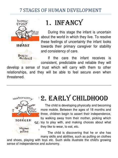 7 Stages Of Human Development Developmental Psychology Adolescence