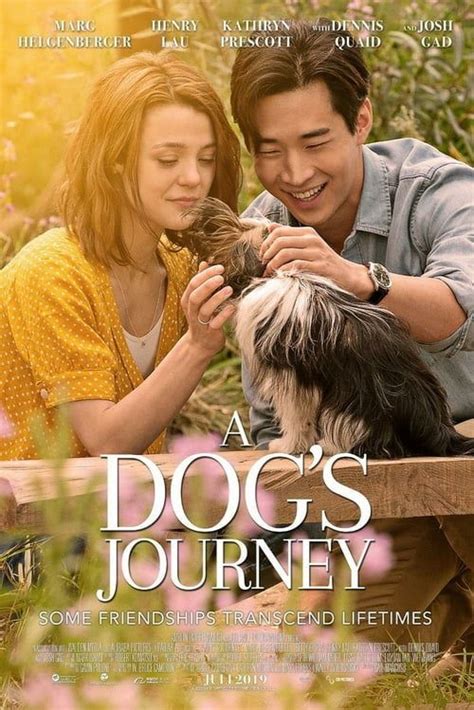 Learn about a dog's journey: Pin by E Sulaj on Movies in 2020 | A dog's journey, Movie ...