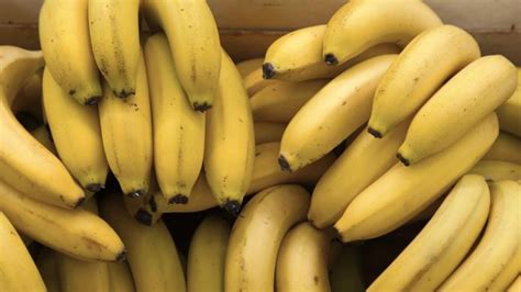 Genetically Modified Super Banana Proves Gmos Can Be Healthy Sheknows