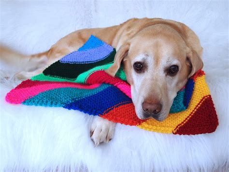 Easy Knit Dog Blanket Tutorial