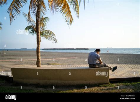 Cijin Kaohsiung Taiwan Man Sitting Underneath A Palm Tree On A Stone