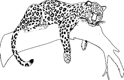 Jaguar Car Drawing At Getdrawings Free Download
