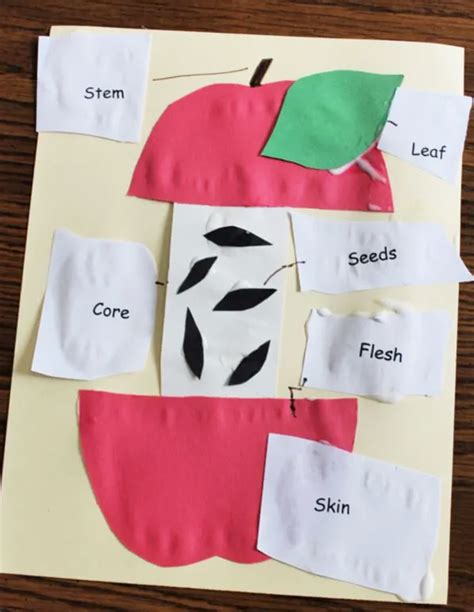 Engaging Cut And Paste Activities For Preschoolers