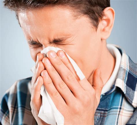 That Sneezing Might Not Be A Cold Bluegreen Carpet And Tile Cleaning
