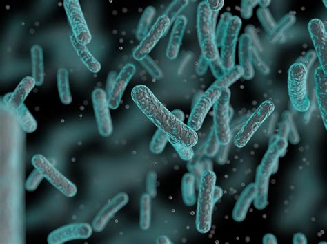 A New Take On Fighting Multi Drug Resistant Bacteria