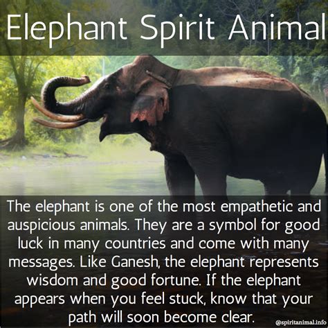The Elephant Spirit Animal Or Totem Elephant Spirit Animal Elephant