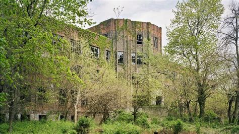 Ruins On New Yorks Abandoned Island Reclaimed By Nature Bbc News