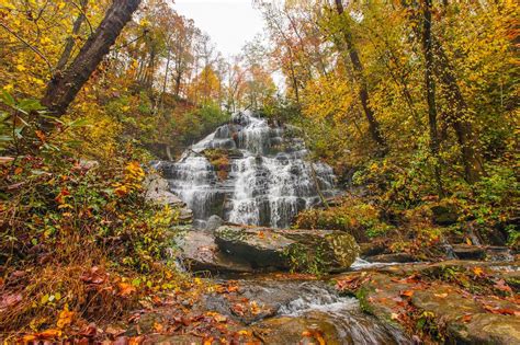 The Best Spots To View Fall Foliage In The South Carolina Mountains