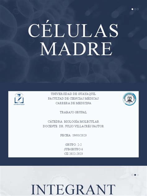 Generalidades Y Aplicaciones De Las Células Madre Pdf Célula Madre