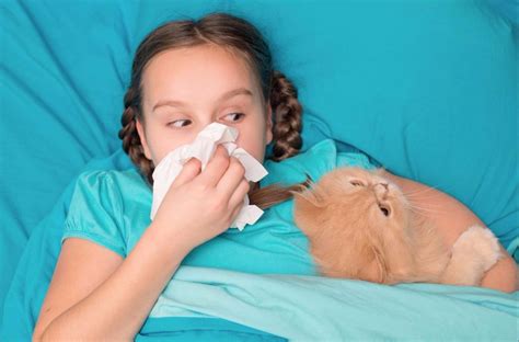 Alergia Na Sier Alergia Na Kota I Uczulenia Na Psa U Dziecka Przyczyny Objawy Leczenie