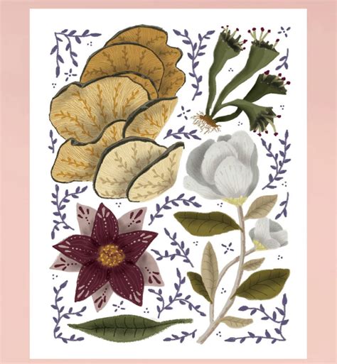 Flora And Fauna Illustration Art Print Set Etsy