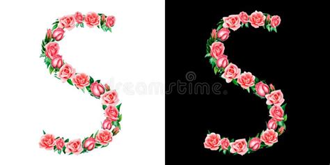 Letter S With Roses Stock Vector Illustration Of Letter 7967454