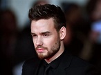 Liam Payne review – LP1: From One Direction to One Dimensional | The ...