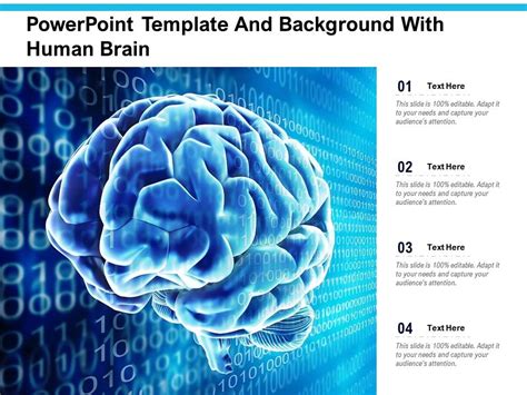 Powerpoint Template And Background With Human Brain Presentation