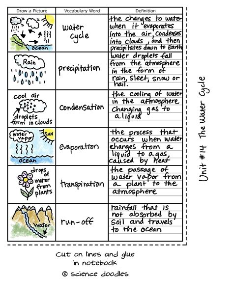 Water Cycle 6th Grade Quiz