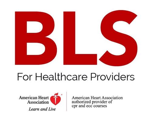 American Heart Association Bls La Skills Academy