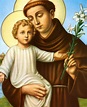 Saint Anthony of Padua Catholic Icon Catholic Saint Art - Etsy