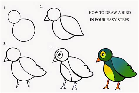 How To Draw A Bird Easy Musely
